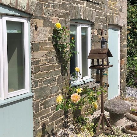 1 Bed-Pet Friendly-Parking-Patio-Close To Coasts North Hill Exteriér fotografie