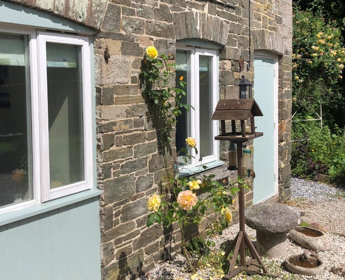 1 Bed-Pet Friendly-Parking-Patio-Close To Coasts North Hill Exteriér fotografie